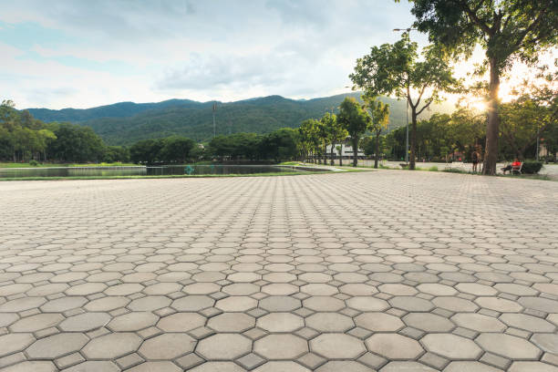 Best Best Driveway Pavers  in Palm Shores, FL